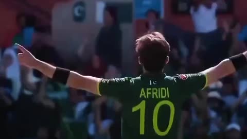 Pakistan Cricket Style