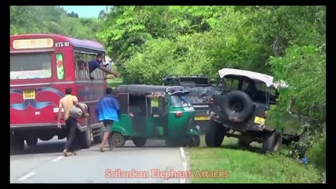 Sri Lanka Elephant Attack Van