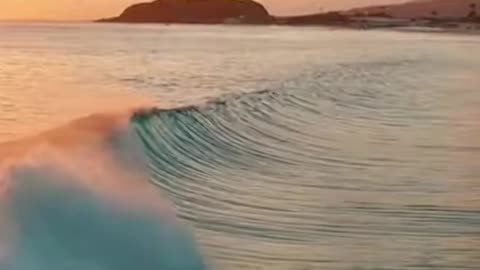 She Surfs… and Brings Luck?! The Girl Everyone’s Talking About!
