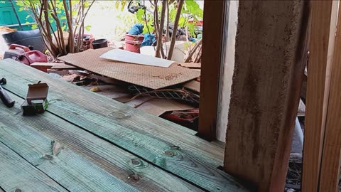 Cold room build part 9: final subfloor construction.