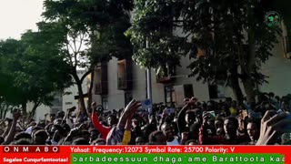 Oduu Galgala ONM-ABO Sadaasa 19-2025 itti dhiyaadhaa!