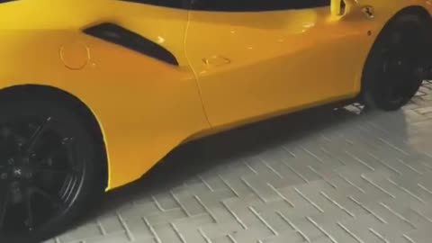 🏎️💨 The Most STUNNING Car Collection You'll See! | LuxurySportsCars