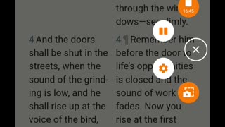 Lights out( black friday lacking)