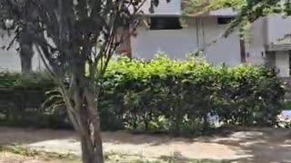 Hurto Metrolínea