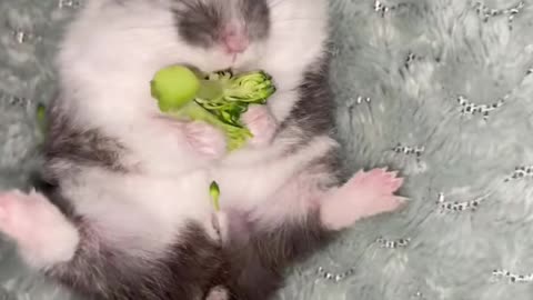 🥦