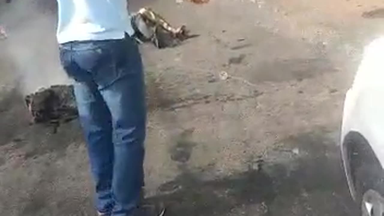 Plane crash aftermath on a residential street in brazil