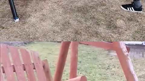 Funny Animals Videos Vs Me 😂