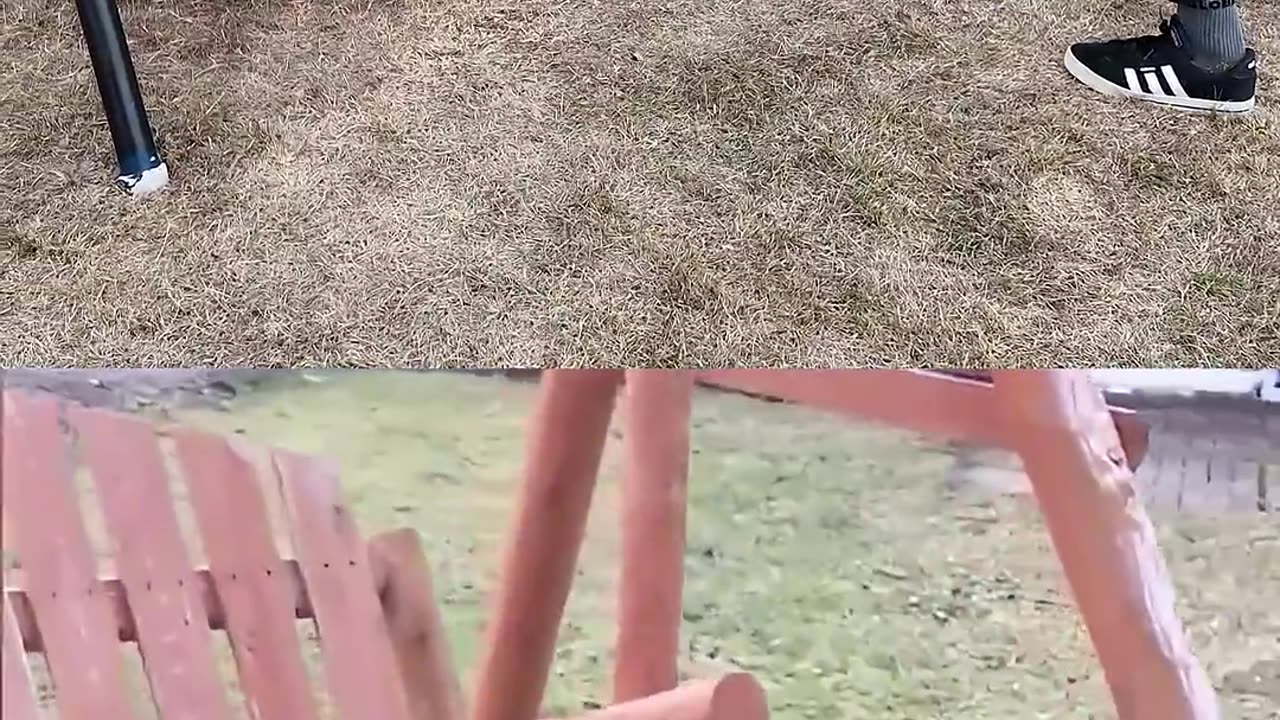 Funny Animals Videos Vs Me 😂