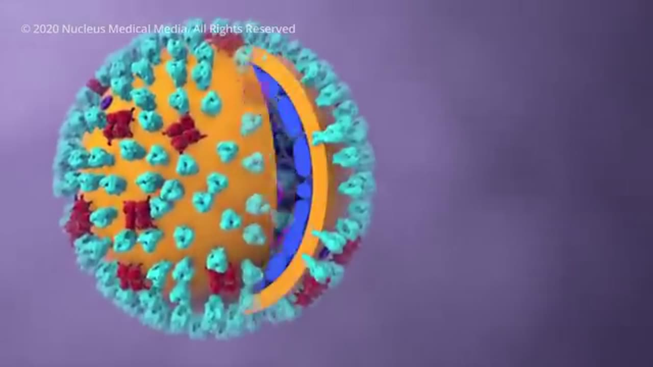 COVID-19 Animation- What Happens If You Get Coronavirus_