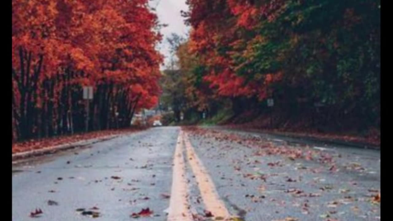 The World on Fire V2