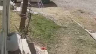 😂🤯 Who Pushed Me? The Ultimate Fall! | FunFM