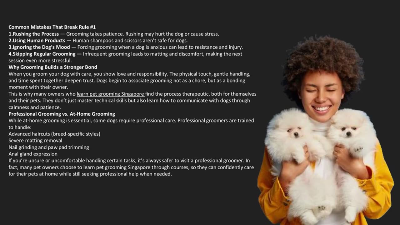 What is Rule #1 for Grooming a Dog? — The Pets Workshop