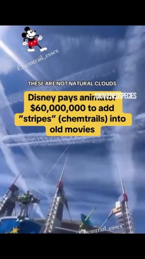 Disney paid a German animator to go back and add "white stripes" on all of the old Disney movies.