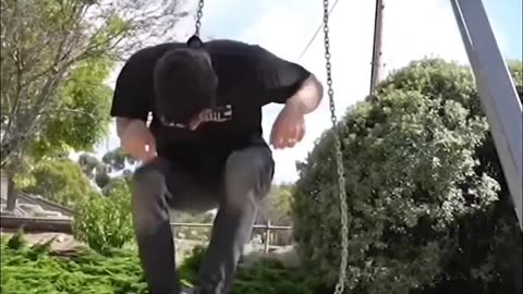 Best of_ How different animals use the swing set