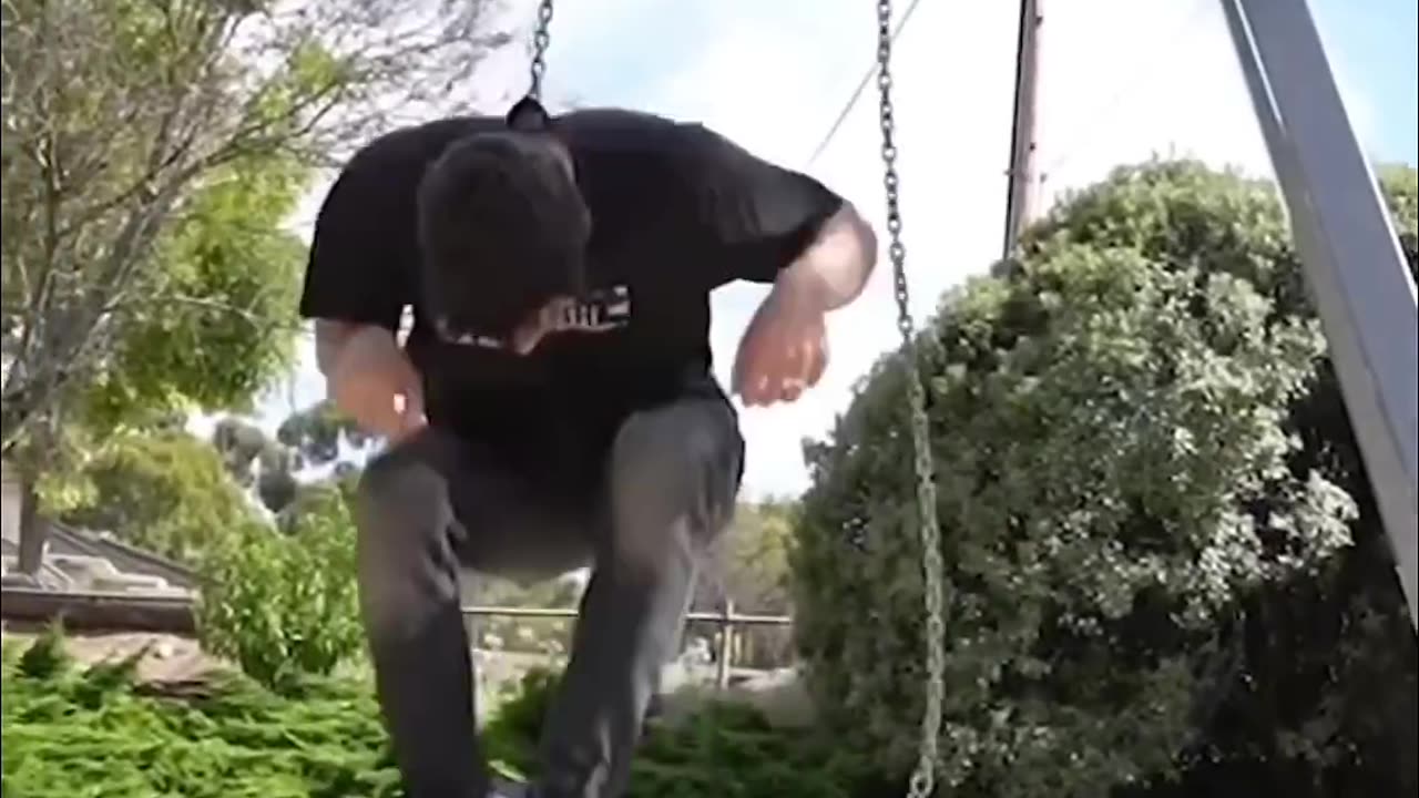 Best of_ How different animals use the swing set