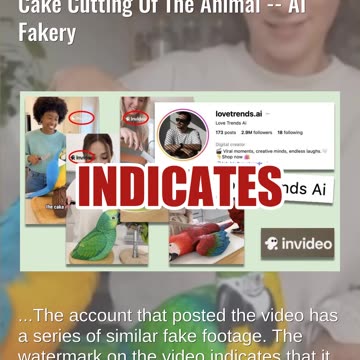 Fact Check: Video Is NOT Real Showing Animals Reacting To Fake Cake Cutting Of The Animal -- AI