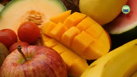 3 Foods for Better Digestion, Sugar Control & High Energy Levels 