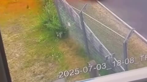 Only dangerous videos