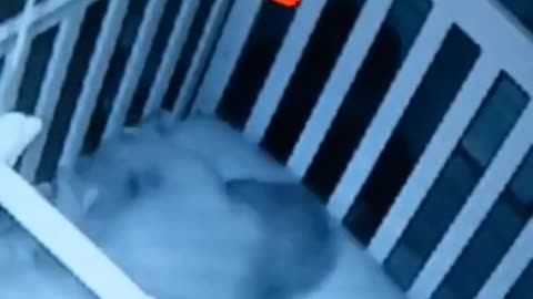 😱🍼 Babies Are Not Safe at Night! | TheHauntingHour