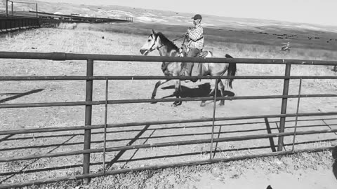 Some on the ranch ride horses and some ride dirt bikes. cartercountrymeats.com