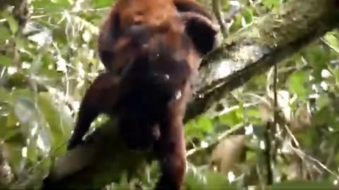 ADC SEMESTRAL PARALELO 2025 | Semana 11 | Geografía