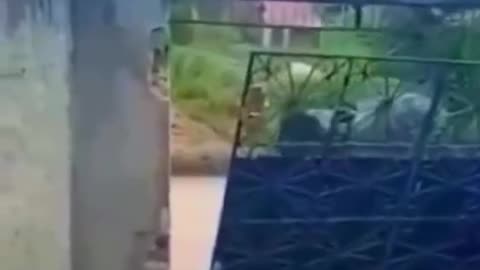 When you told your wife that there was some girl at home 😆