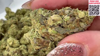 Queen Natalya From THCA Small Buds! Dankin With The Flamingos Review!!