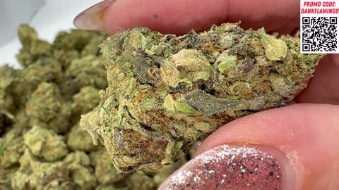 Queen Natalya From THCA Small Buds! Dankin With The Flamingos Review!!