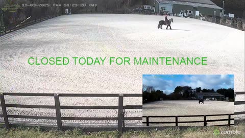 Mousehold Farm All Weather Riding arena