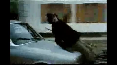 Bloody Friday (Warning Brute Force and Brutal Honesty) ~ Highlights