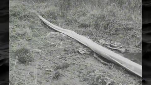 😱👻 You Won't Believe What They Caught on Camera! Creepy Paranormal Videos | TheHauntingHour