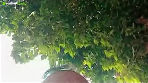 street view of my HOMETOWN