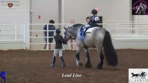 Gyspy Youngsters. Lead Line and a Costume Class