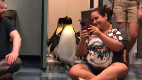 The Zoo Visit You’ll Never Forget