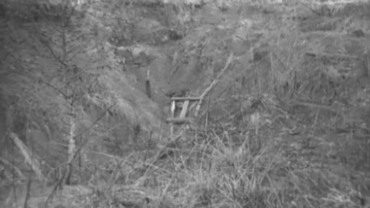 Infamous Assassinations: Part 23: Assassination of Tsar Nicholas II