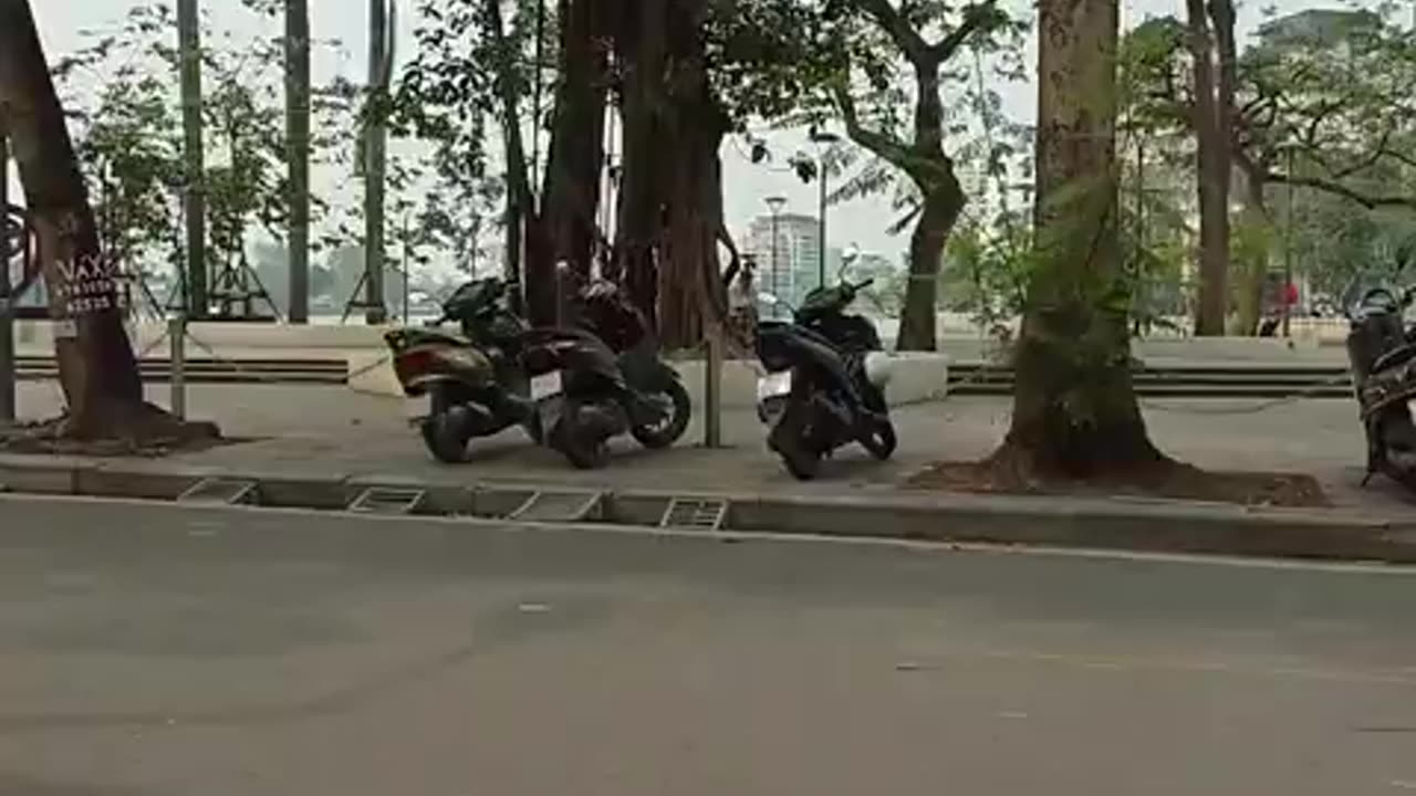 fatty demon pig - 2025 - YT - March 28th part 002 - HANOI