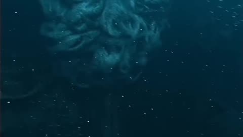 Keepers of the deep