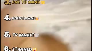 Must Watch: Ranking Funniest Cat Moments
