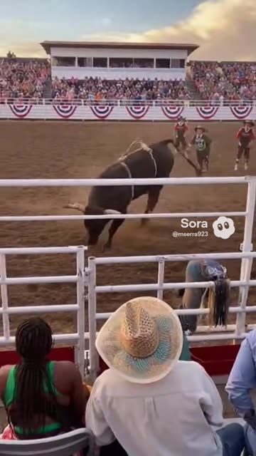 Bull Rodeo Escape