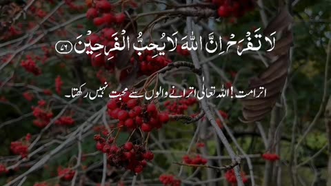 🔥 Surah Al-Qasas 28:76-77 سورة القصص ⚡💎🔥 #Quran #shorts #viral #trending #love #youtubeshorts