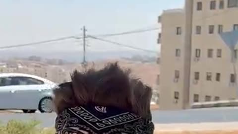 Funny Guy Video-14