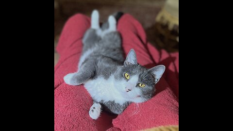 Episode 3028 CWSA 11/24/25