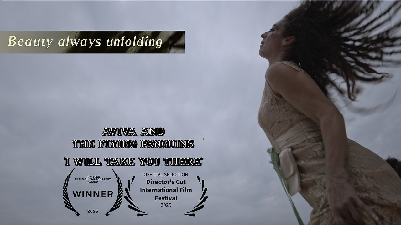 I Will Take You There - official music video - AVIVA AND THE FLYING PENGUINS (AATFP)