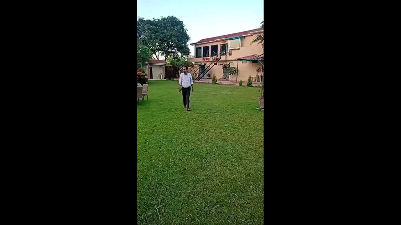 satisfying Video