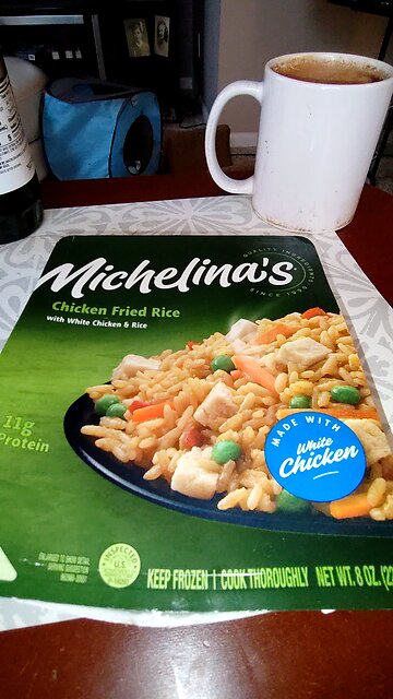 Eating Michelina's Chicken Fried Rice, With White Chicken & Rice, Dbn, MI, 12/2/25