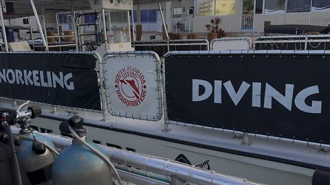 Scuba Diving New Year’s Eve 2024