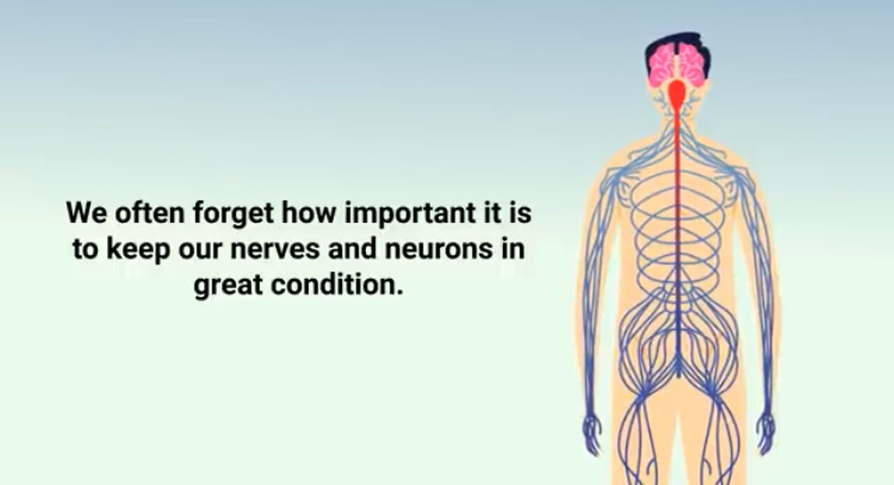 Top 10 Best Herbs for Your Nerves (Nervous System Boost)