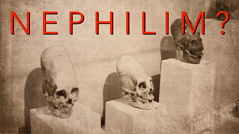 Elongated Skulls In Florida & Their Mysterious Origins