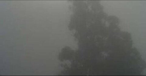 Mysterious Fog? More like Smogged Formaldehyde Poisoning