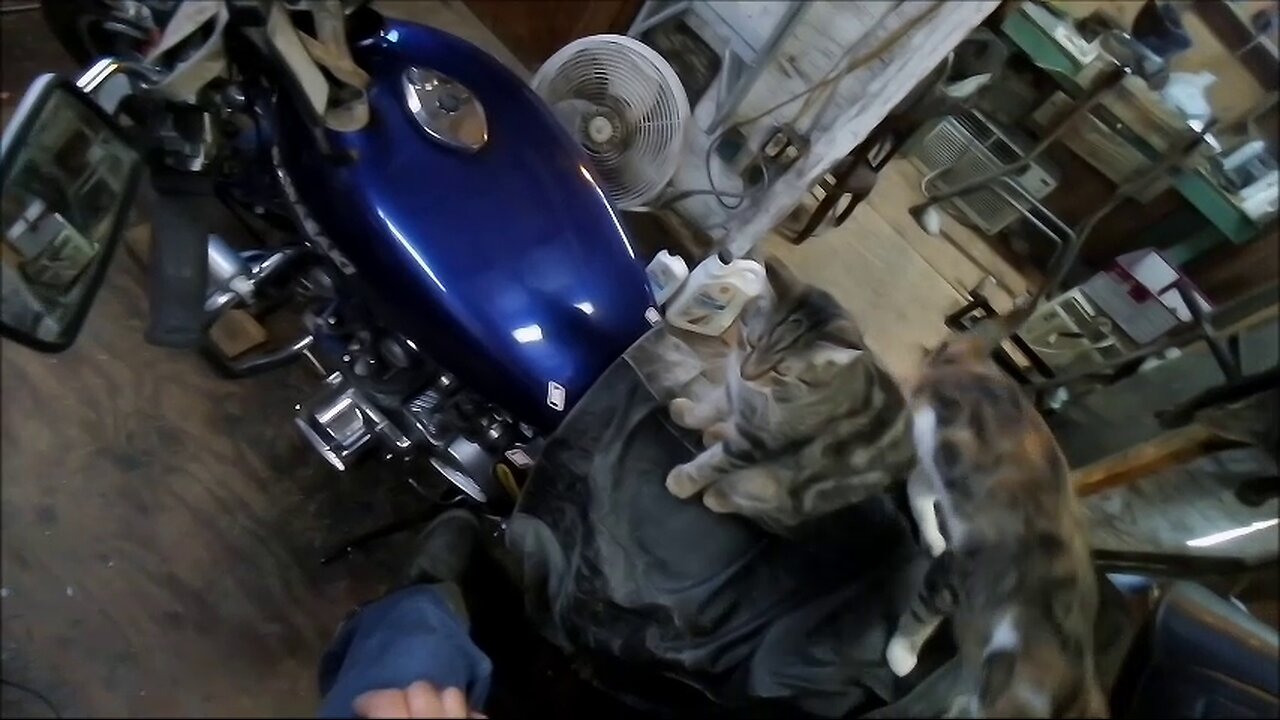 THINGS ARE ABOUT TO POP